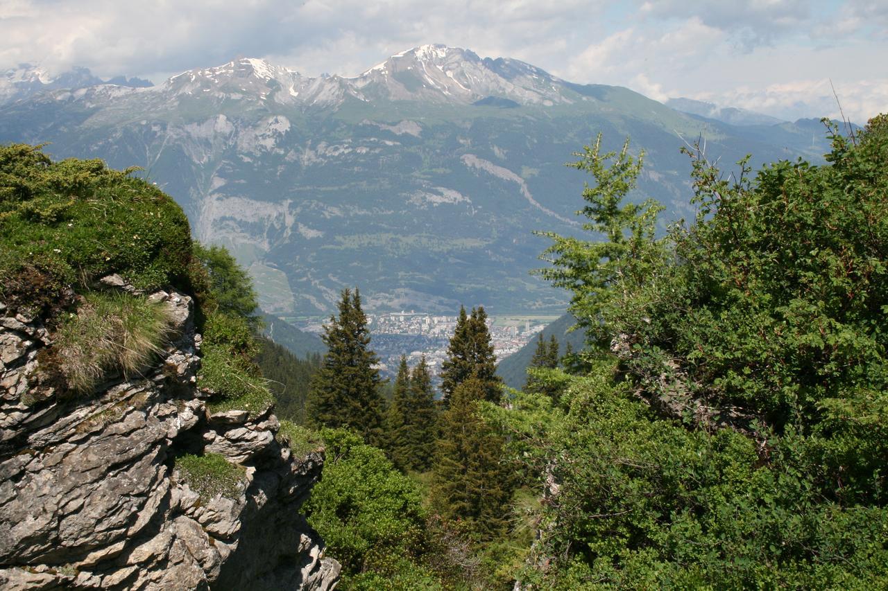 The Alpina Mountain Resort تشيرتشين المظهر الخارجي الصورة